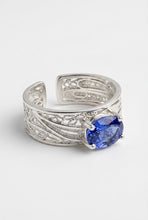 Anillo Oleaje