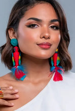 Aretes Guacamaya Bandera