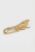 Broche Iguana