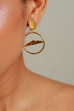 Aretes Morro de Santa Marta